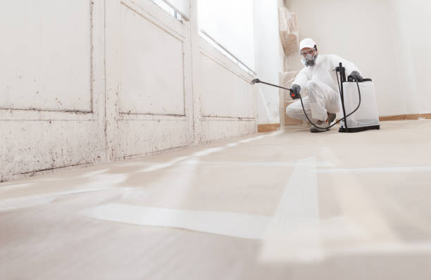 24/7 Emergency Mold Remediation experts in Auburndale, MA