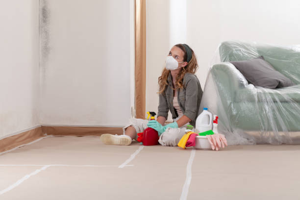 Reliable Mold Remediation contractor in Auburndale, MA by 24 Hour Mold Removal